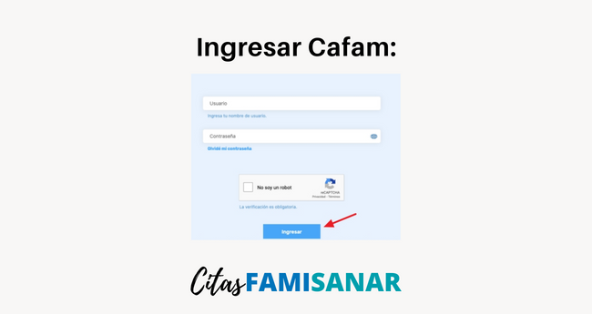 Ingresar para descargar resultados de laboratorios Famisanar Cafam